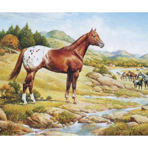 1868 Breyer Orren Mixer Ideal Series Appaloosa Horse