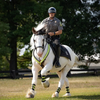 1884 Breyer Hytyme Legend Kentucky Horse Park Mounted Police Horse