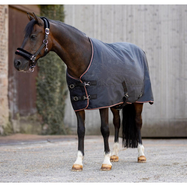 24Q14ZD-CBL Horze Pegasus Pony Mid Weight 200gm Turnout Blanket - Caviar