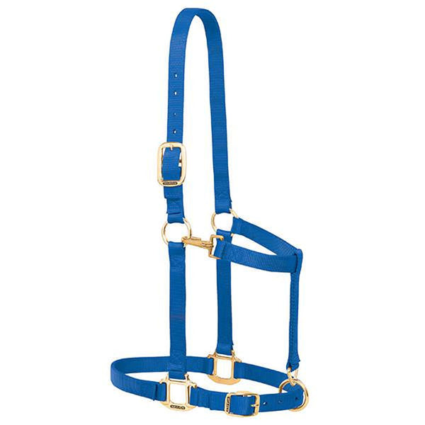 35-7639 Weaver Leather Large Draft Horse Adjustable Nylon Halter - Blue