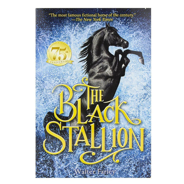 6181 Breyer Black Stallion Horse and Book Set