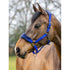 IT00828 Vogue Fleece Cushion Headcollar Halter & Lead Rope Set - Royal Blue