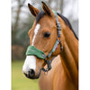 IT00832 Vogue Fleece Cushion Headcollar Halter & Lead Rope Set - Hunter Green