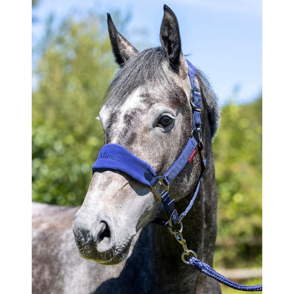 IT00833 LeMieux Vogue Fleece Cushion Headcollar Halter & Lead Rope Set - Ink Blue