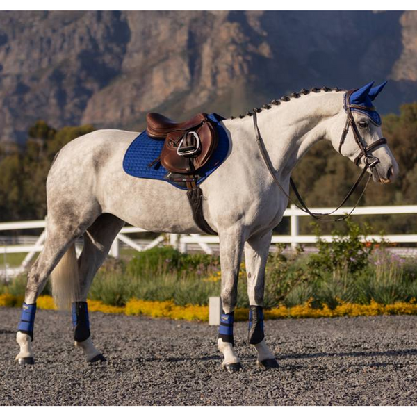 IT01152 LeMieux Suede Close Contact Square English Saddle Pad - Benetton