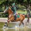 IT01156 LeMieux Suede Close Contact Square English Saddle Pad - Hunter Green