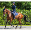 IT01163 LeMieux Suede Close Contact Square English Saddle Pad - Navy