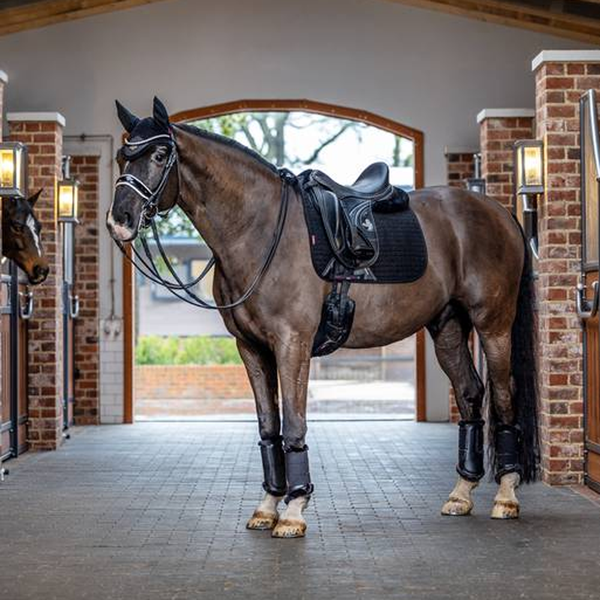 IT01280 LeMieux Suede Square Dressage Pad - Black