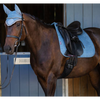 IT01287 LeMieux Suede Square Dressage Pad - Ice Blue