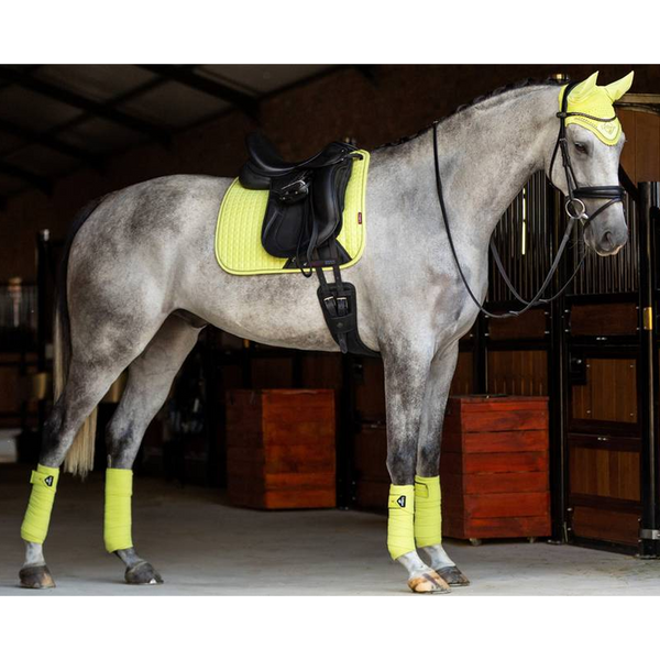 IT02680 LeMieux Suede Square Dressage Pad - Kiwi