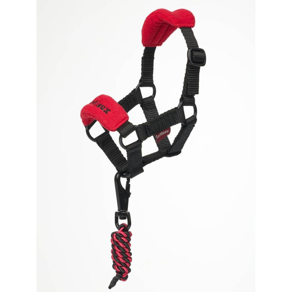 IT03932 LeMieux Toy Pony Vogue Headcollar Halter - Chilli