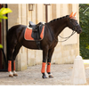 IT04085 LeMieux Suede Square Dressage Pad - Apricot