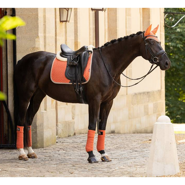 IT04085 LeMieux Suede Square Dressage Pad - Apricot