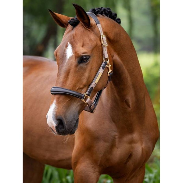 IT04221 LeMieux Capella Leather Horse Halter - Mink