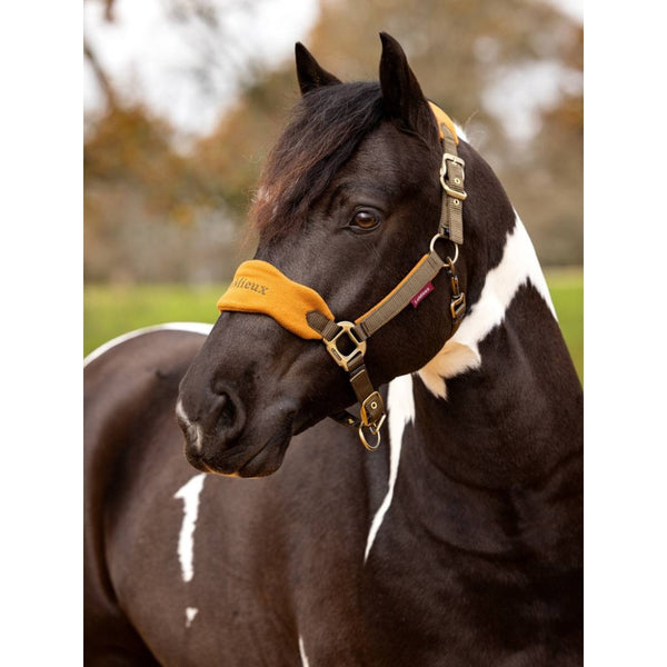 IT05292 LeMieux Vogue Fleece Cushion Headcollar Halter & Lead Rope Set - Alpine