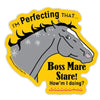 LSBStare Perfecting the Mare Stare 3" Sticker