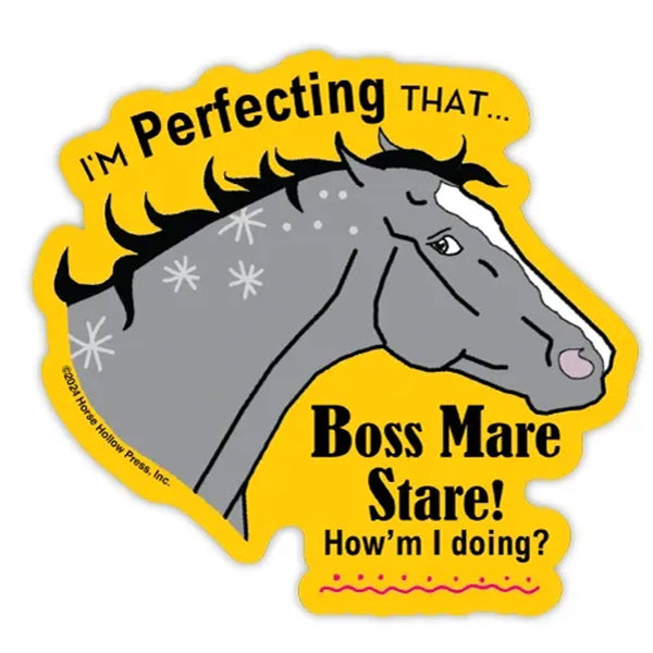 LSBStare Perfecting the Mare Stare 3" Sticker