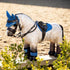 IT03605 LeMieux Toy Pony Mini Plush Pony - Dream Dun Pony