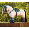 IT03291 LeMieux Toy Pony Fly Hood - Evergreen