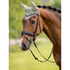 IT04087 LeMieux Classic Fly Hood Veil Bonnet Lycra Ears - Fern