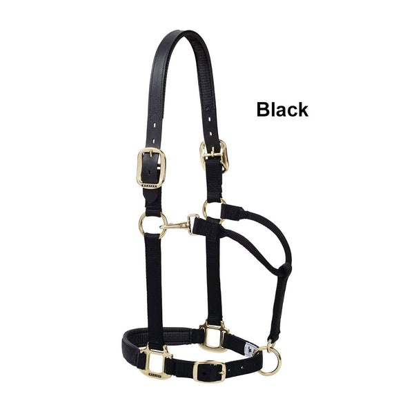 35015-50 Weaver Leather 1 Inch Padded Breakaway Adjustable Horse Halter