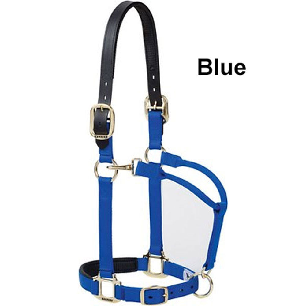 1 Leather Overlay Adjustable Nylon Halter with Leather Crown